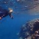 Taku Mbudzi Podcast Snorkelling Great Barrier Reef Silence 1